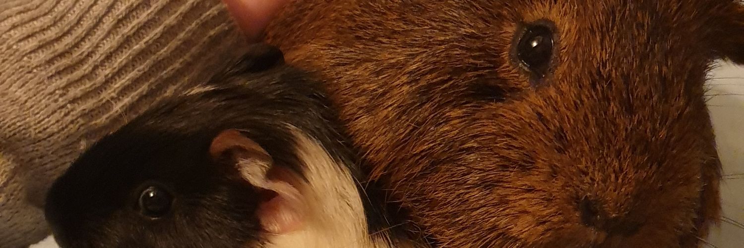 KIMBERLIEJ_'s profile banner image