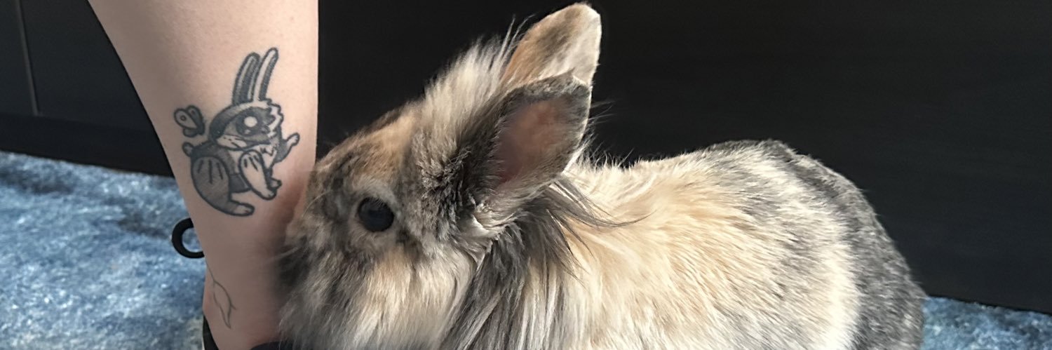 paradisperdvs's profile banner image
