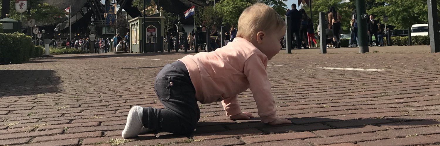 Ruud Schaaphuizen banner