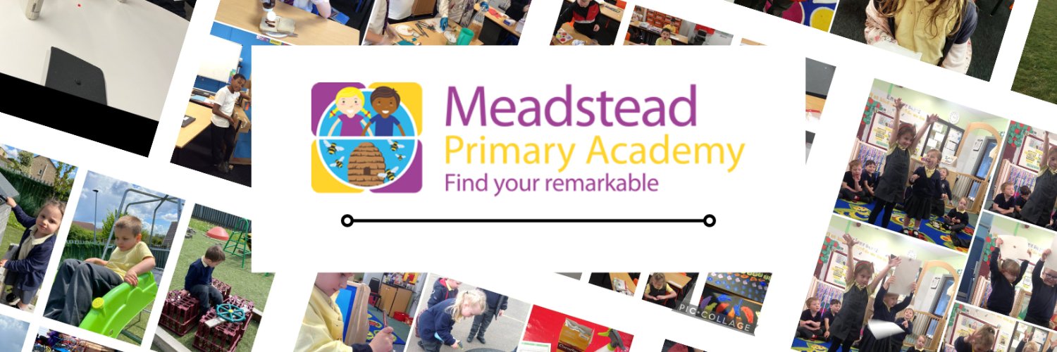 Meadstead Pr Academy banner