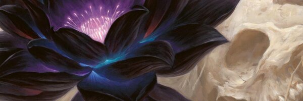 Lateralux Profile Banner