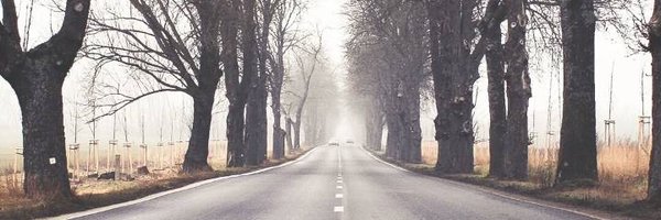 danukojor Profile Banner