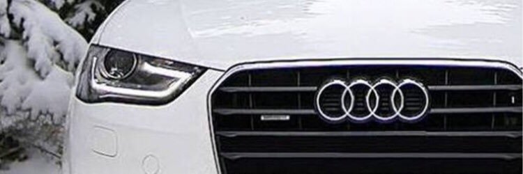 layuon's profile banner image