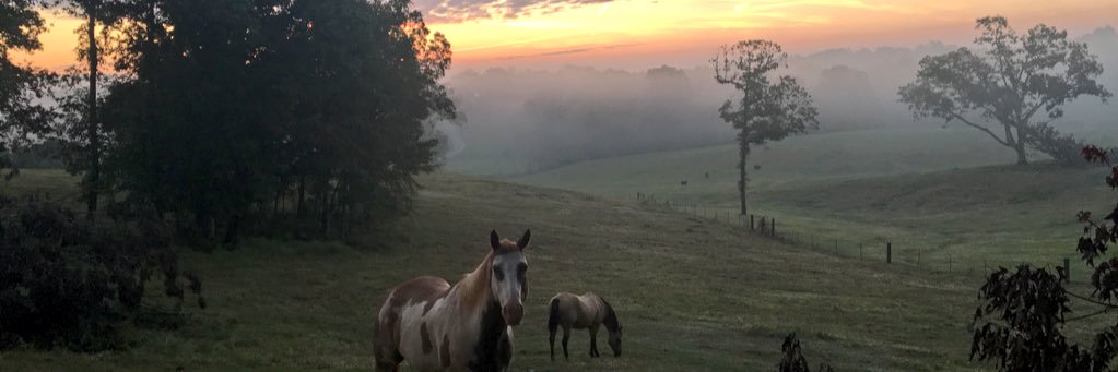 Mimichill67's profile banner image