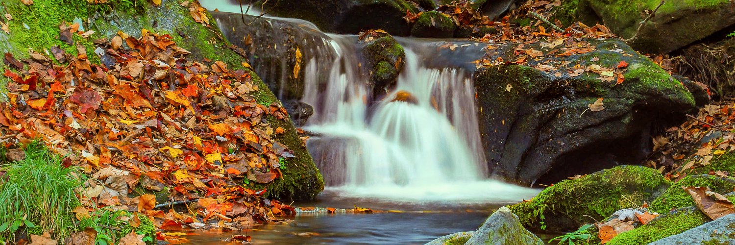 PapaNature's profile banner image
