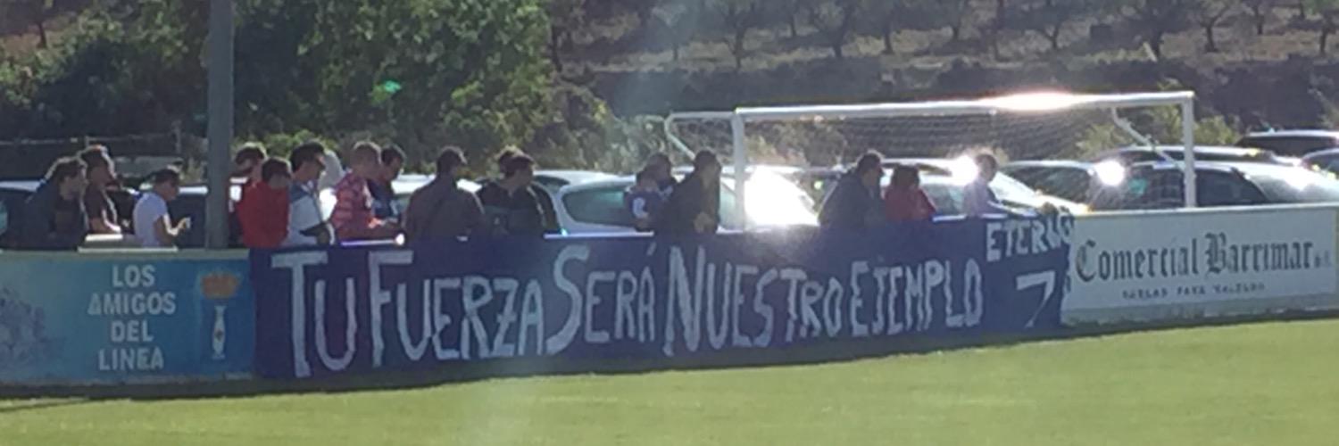 Los amigos del linea banner