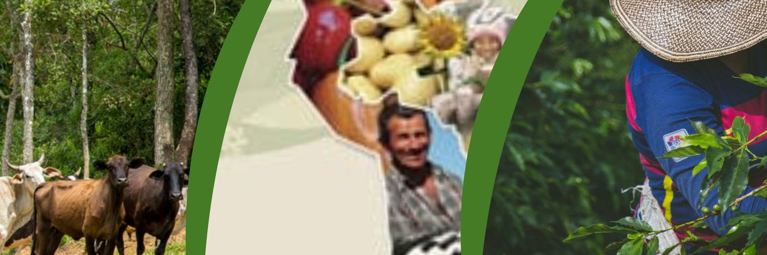 Daniel OrtegaPacheco banner