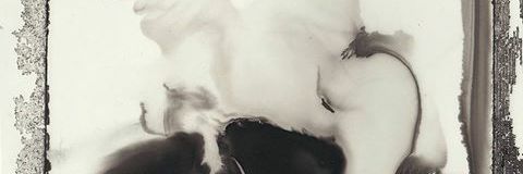 Amy_Mlt's profile banner image