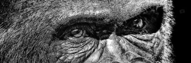 tagibian's profile banner image