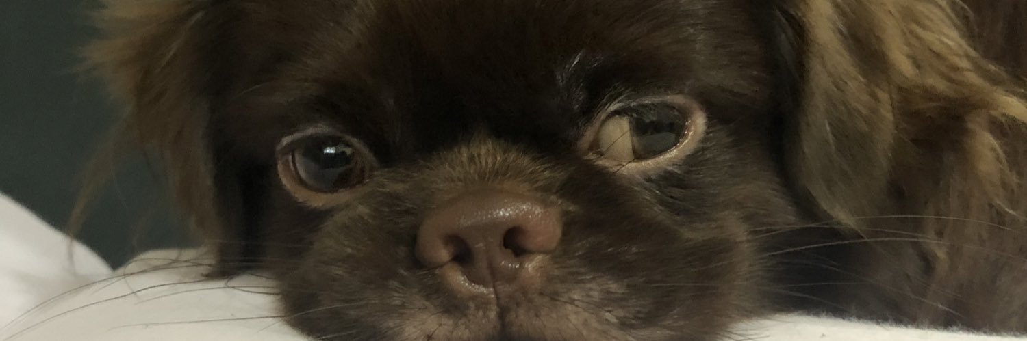 JeremyYuaga's profile banner image