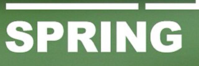 teamSPRING banner