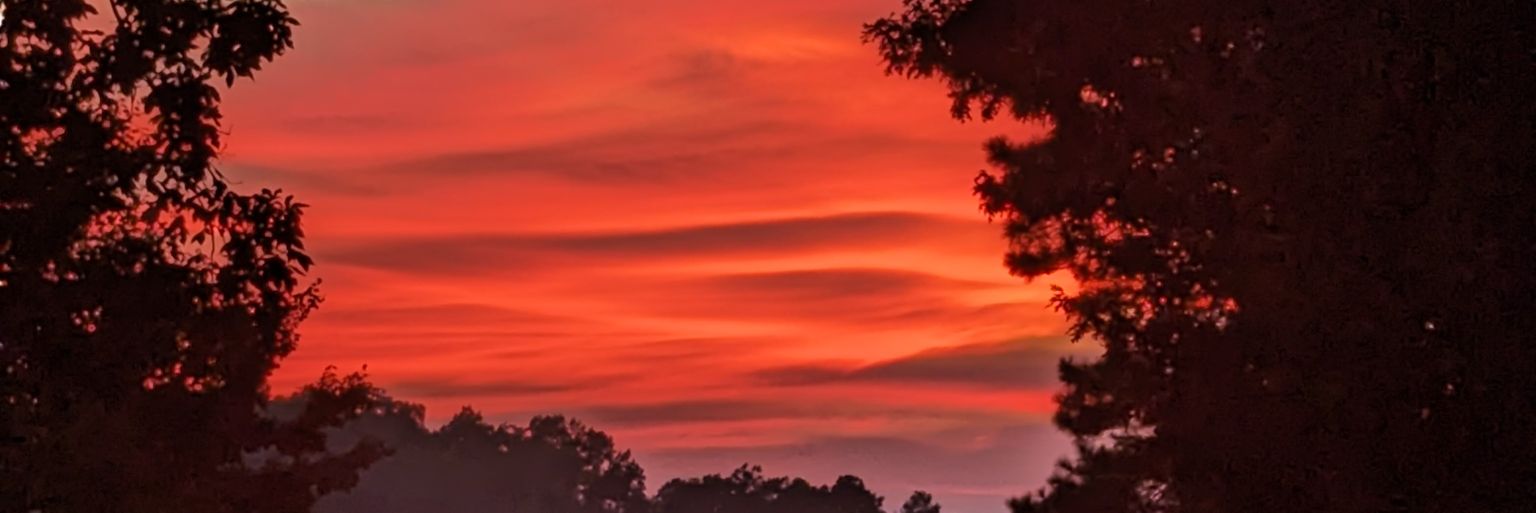 AdamsCorina's profile banner image