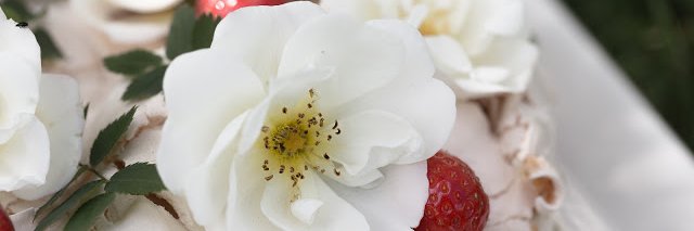 hellajaviini's profile banner image