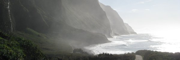 Mick O'Donnell Profile Banner