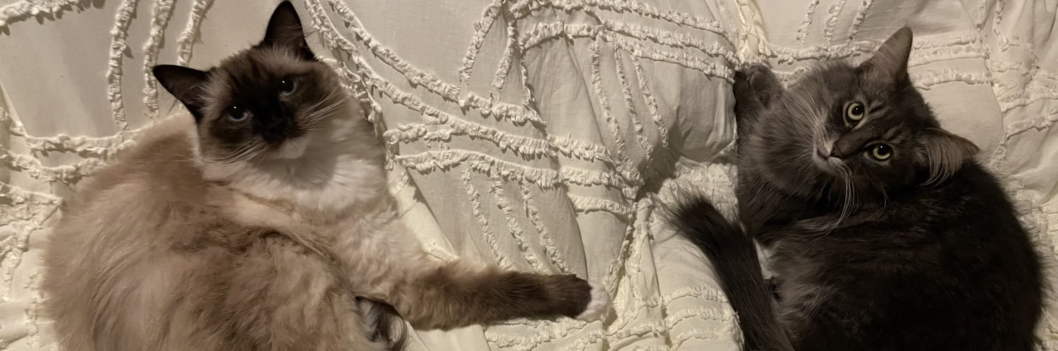 themacsta's profile banner image