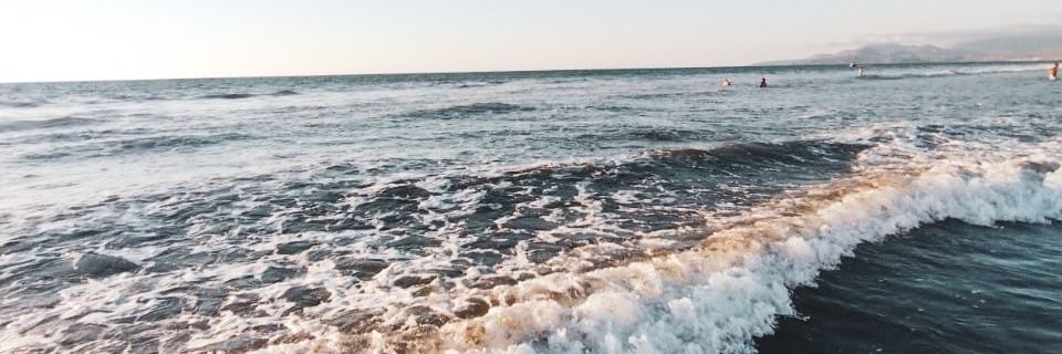 Florcuneo96's profile banner image