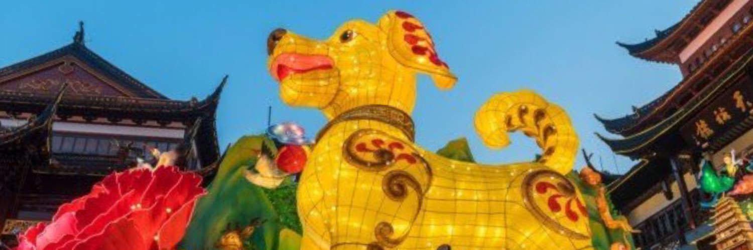 eldaroseellis2's profile banner image