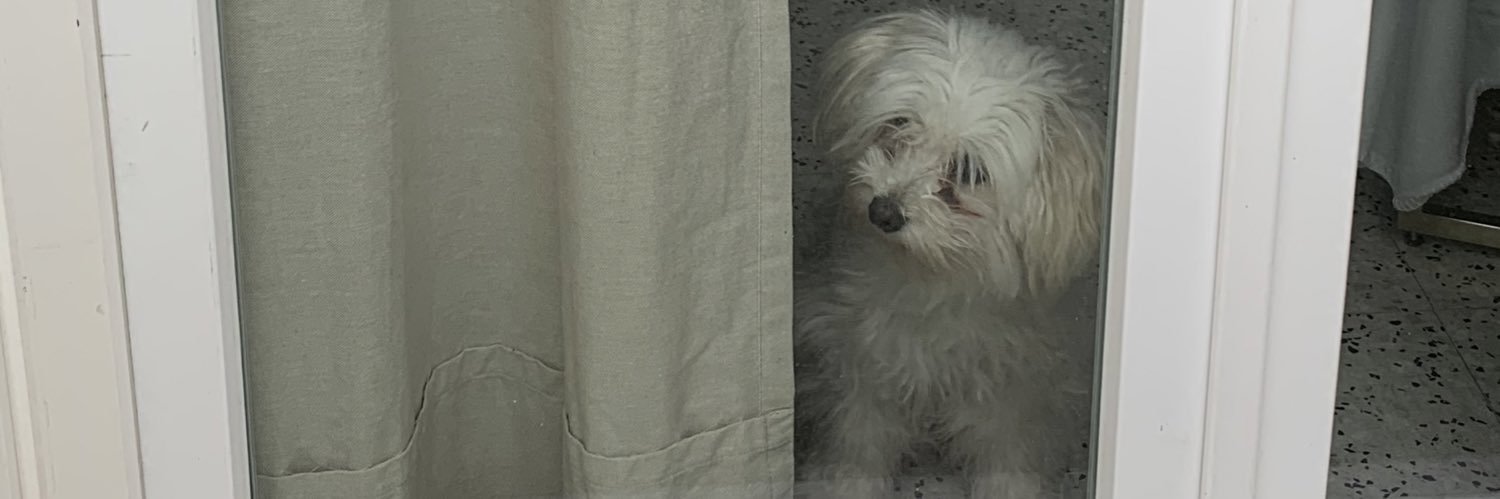 callmetsoa's profile banner image