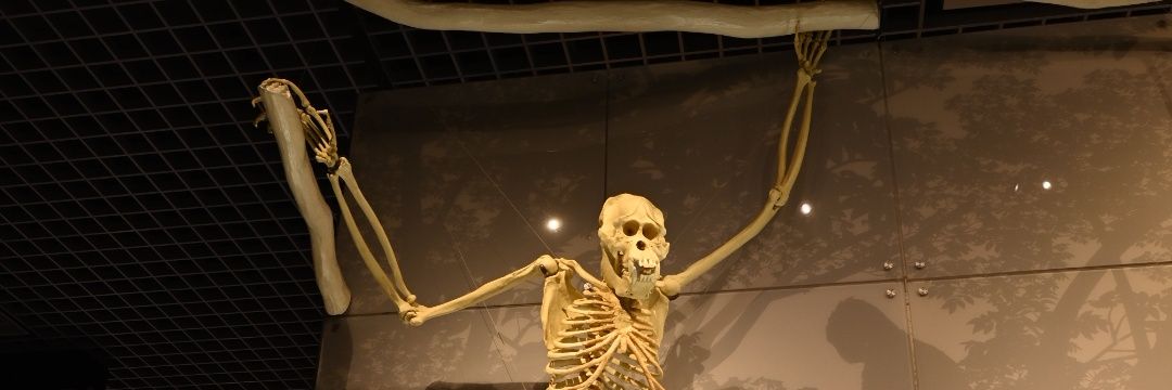 average120over's profile banner image