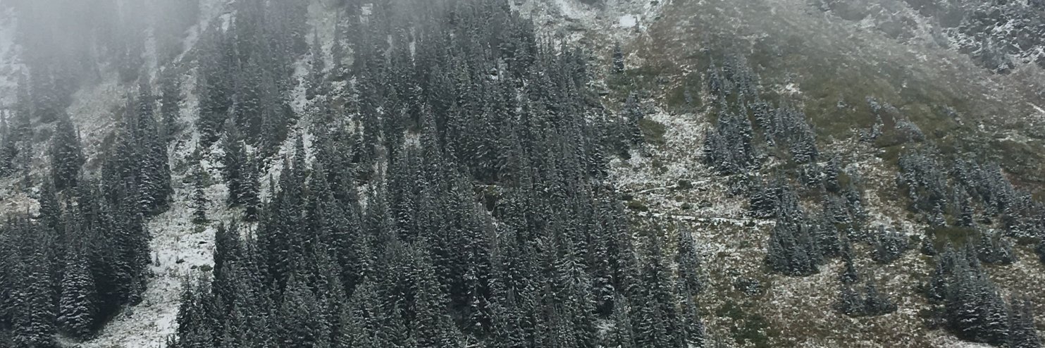 Bobbie Frazier banner