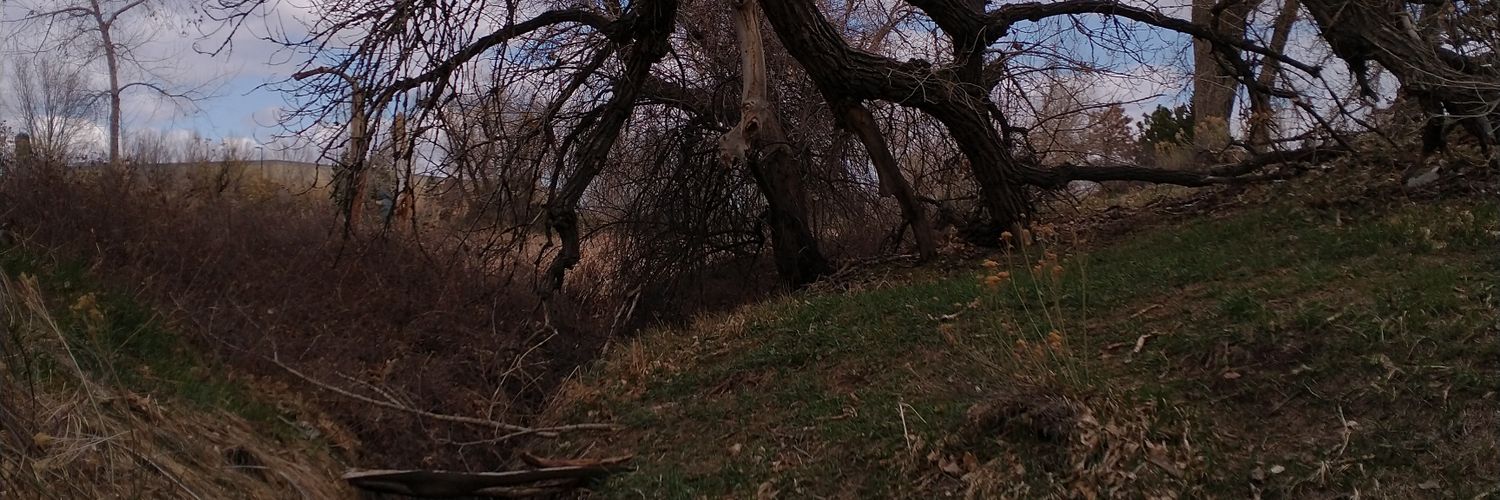 brkfstclblvr's profile banner image