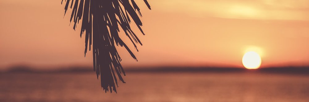 georgiacryan's profile banner image