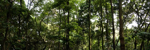 jbotanicomed Profile Banner