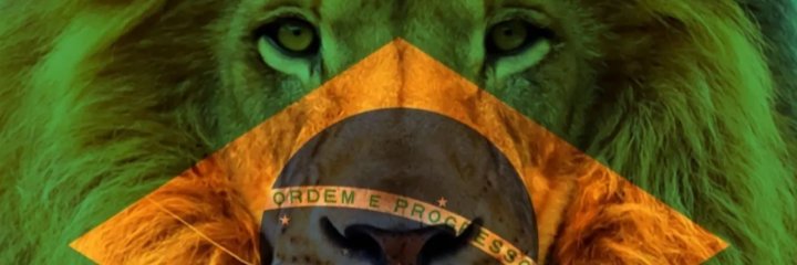 clafroes's profile banner image