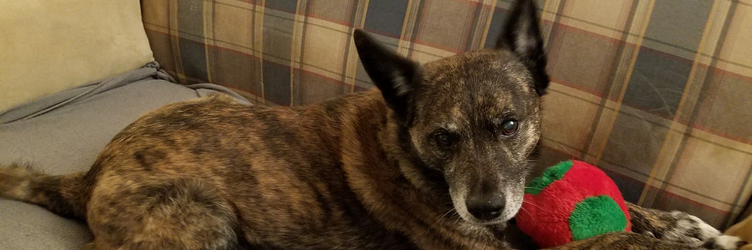 𝐉𝐨𝐧 𝐄 banner