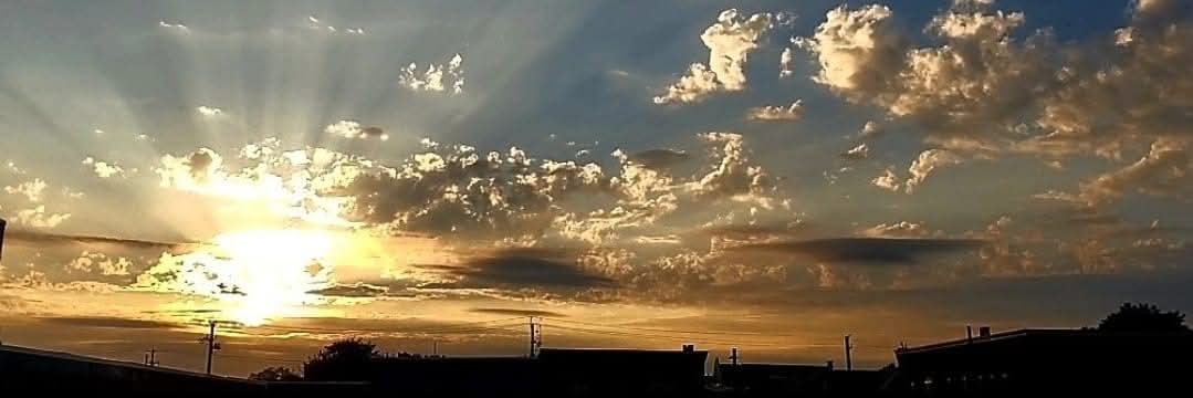 Wendy Spickerman banner