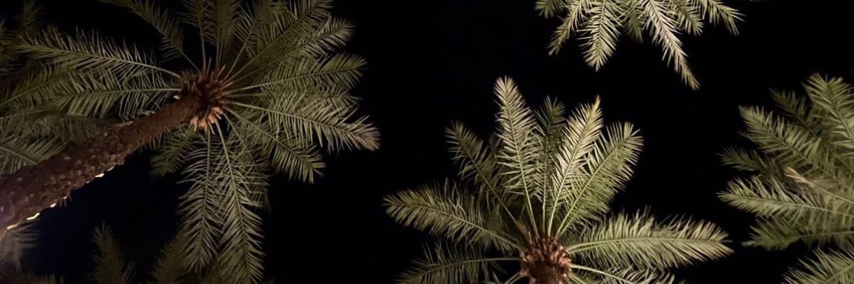 Xll3l's profile banner image