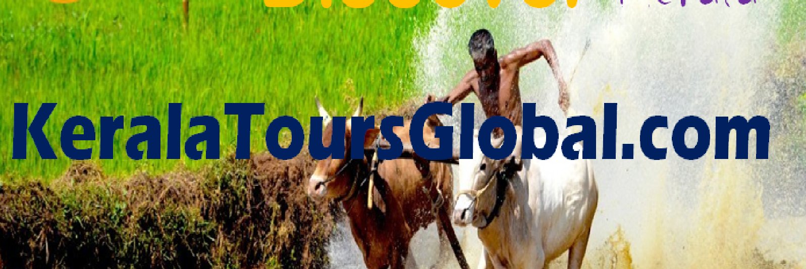 joshiflabour's profile banner image