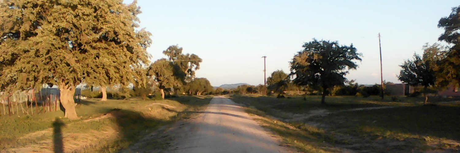 bndlovu84's profile banner image