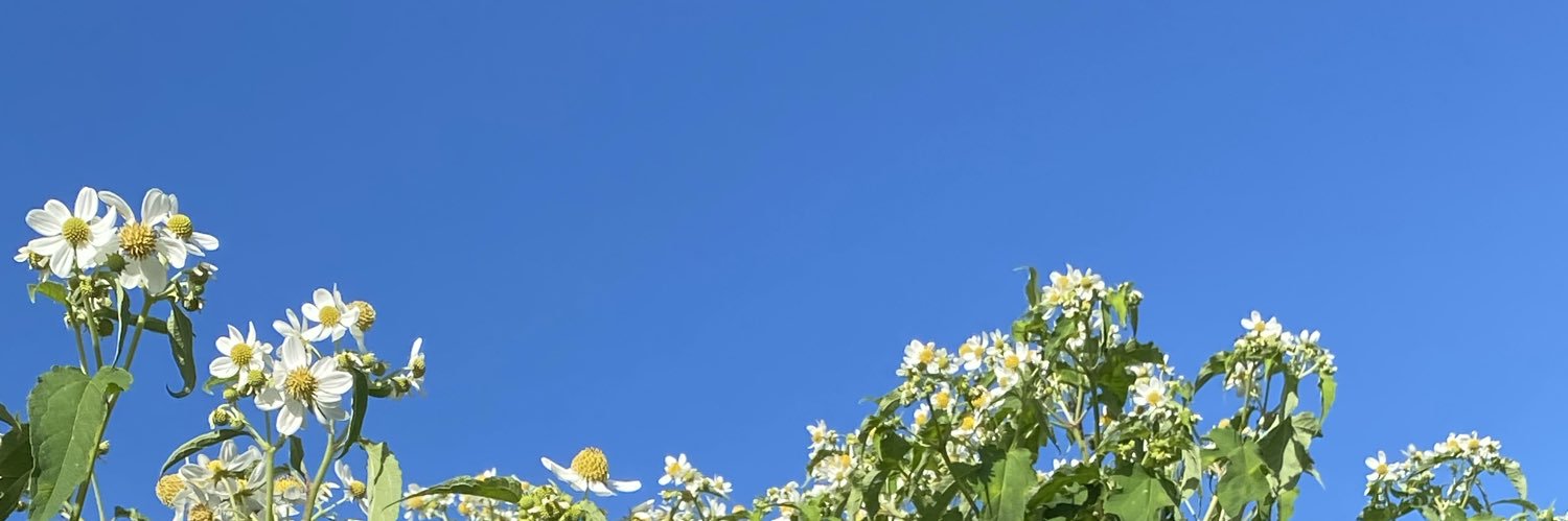 Fiko banner