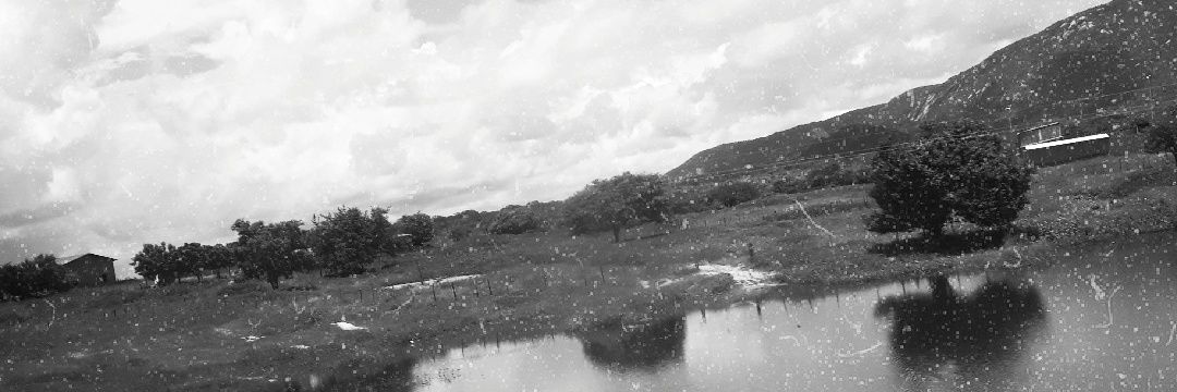 Evalld0's profile banner image