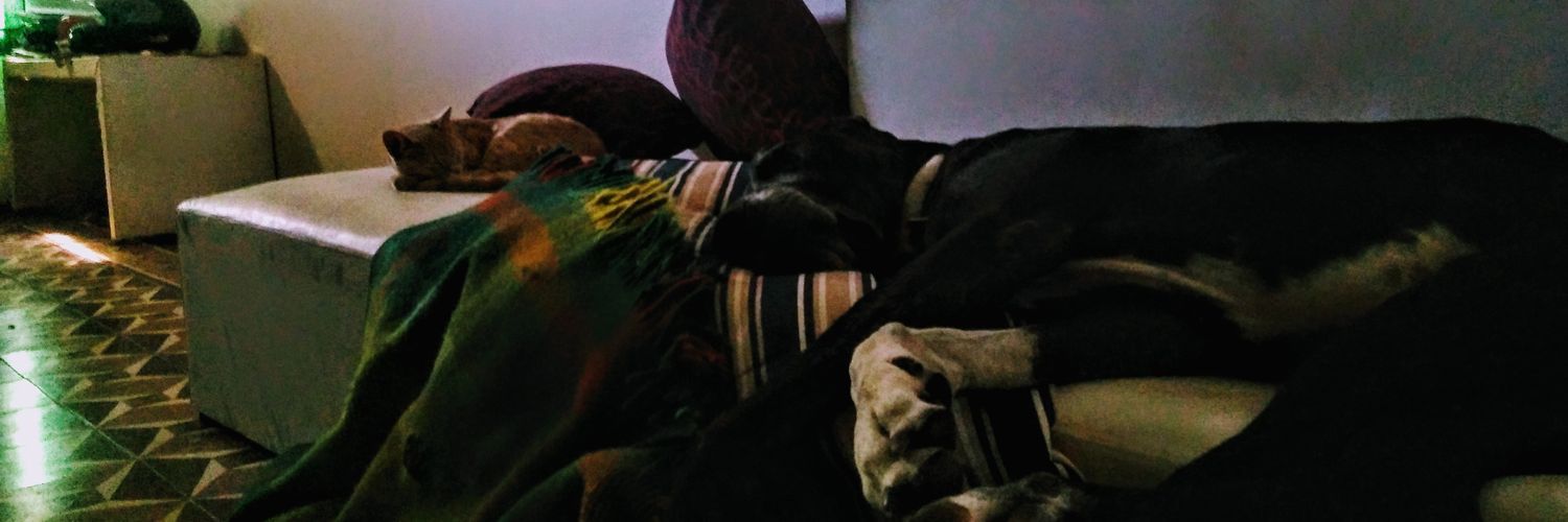 kata_cmm3's profile banner image