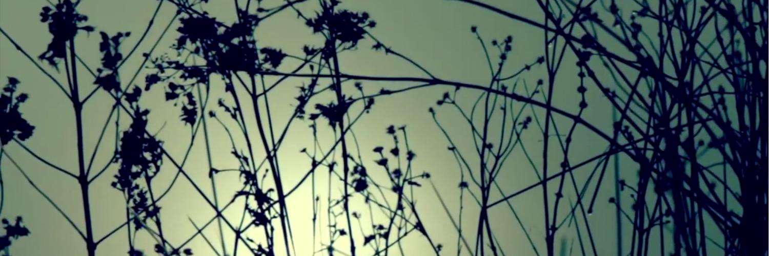 paulopezsie's profile banner image