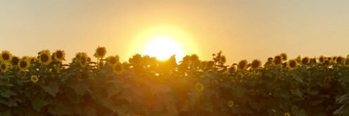 KatMaynard's profile banner image