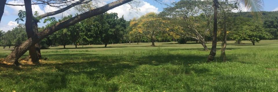 joaca86's profile banner image