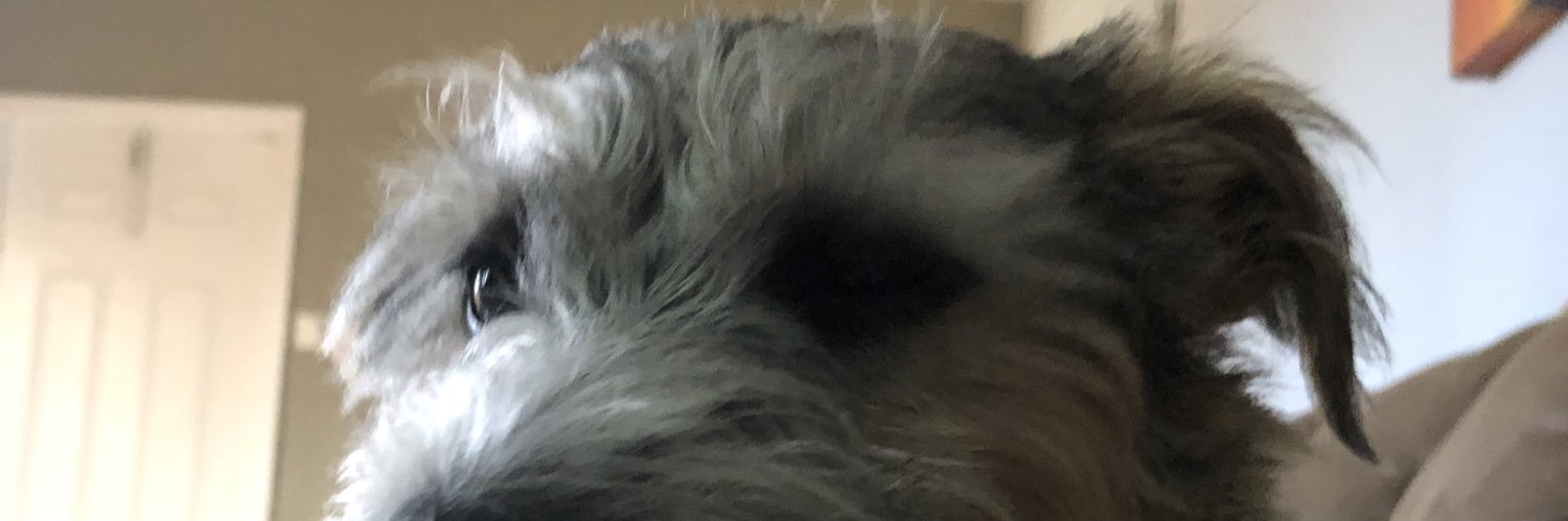 av8trdave's profile banner image