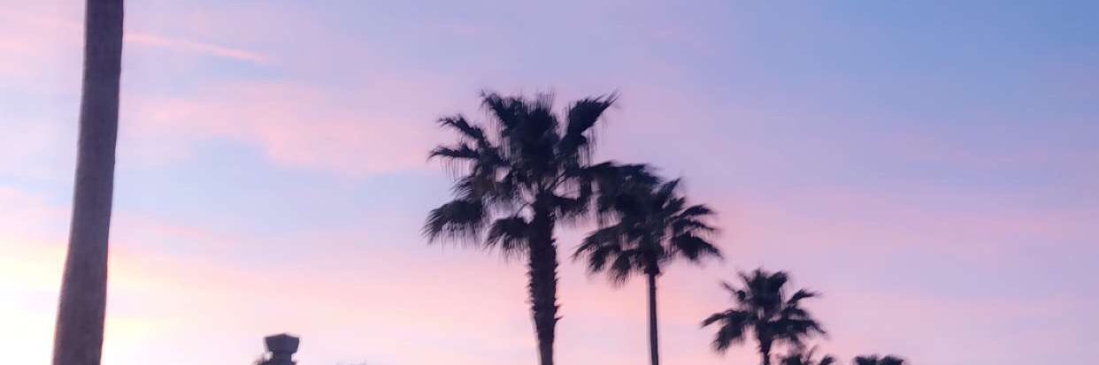 brookecrounse's profile banner image
