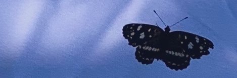 Cande_Luana's profile banner image