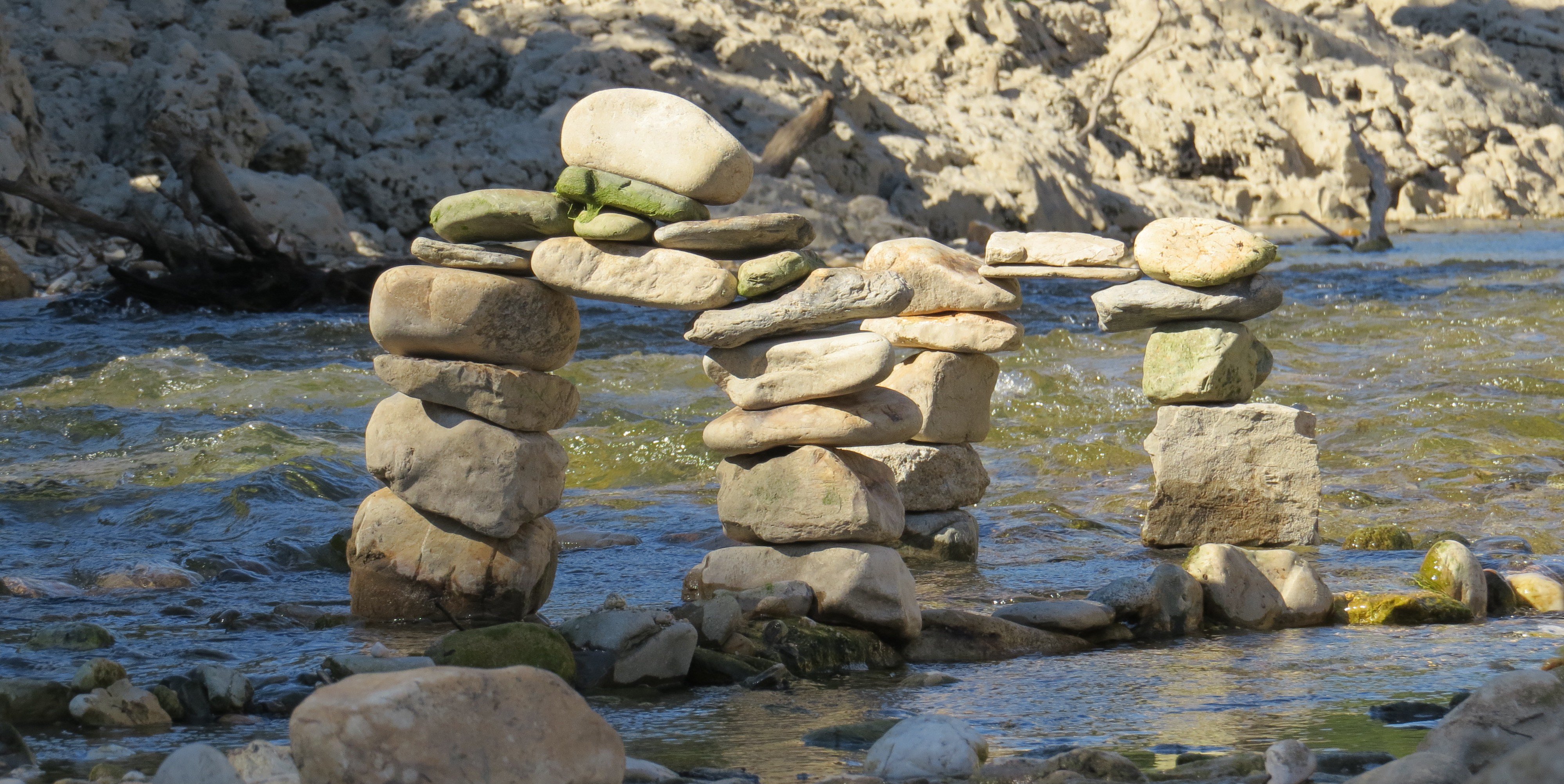 Cotard Jean-Luc banner