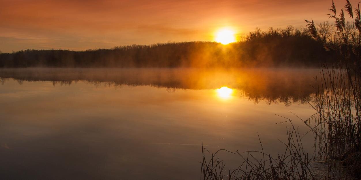 EWilliamsPhoto's profile banner image