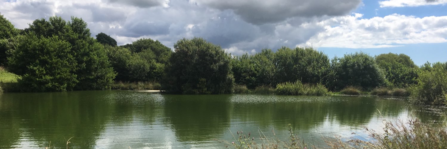 miamiflorida.eth banner