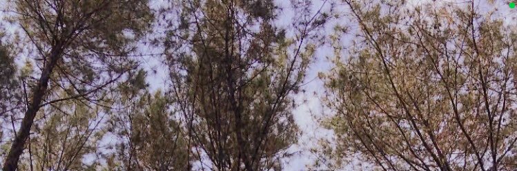 hurugibur's profile banner image