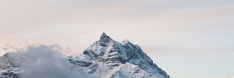 DanniBaum's profile banner image