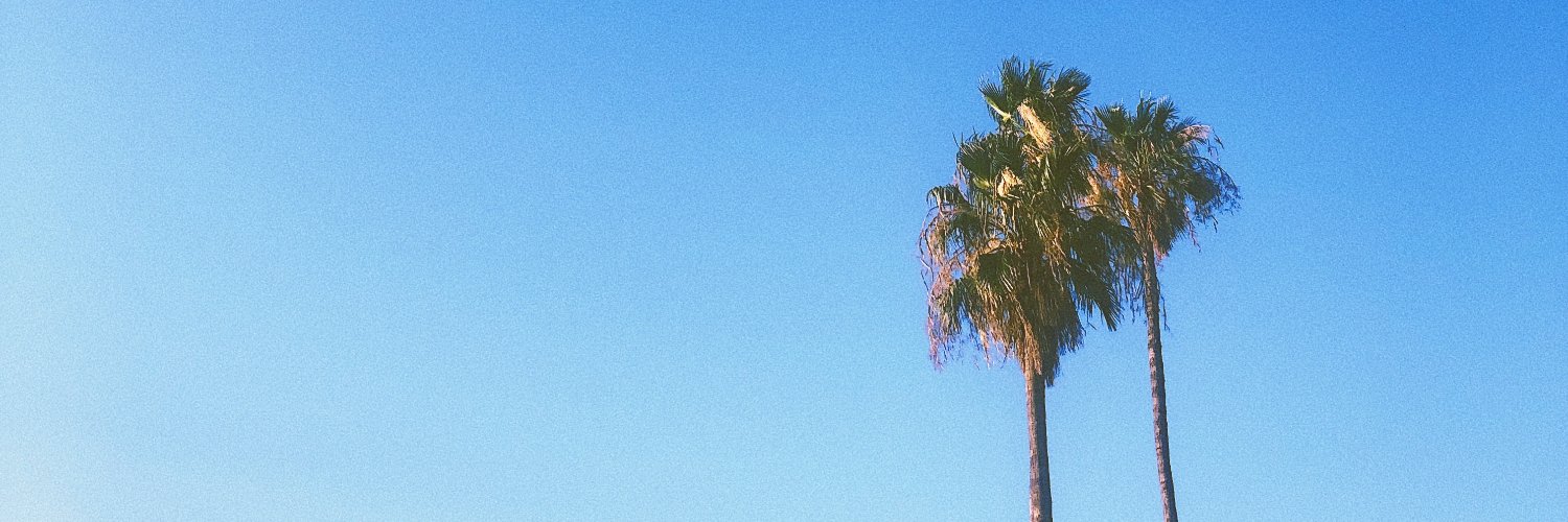 hayleysitz's profile banner image