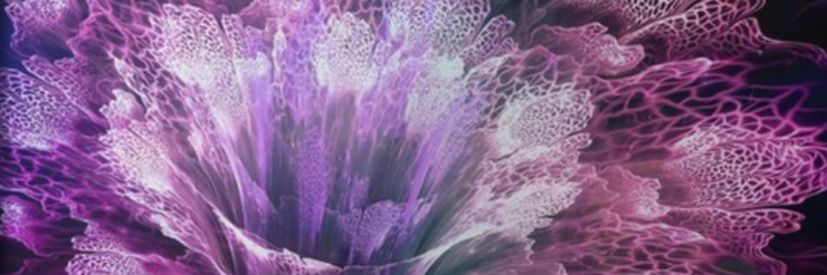 𝒦𝒾𝓂 𝒲.♠️♌✊🏾🎶🖤 banner