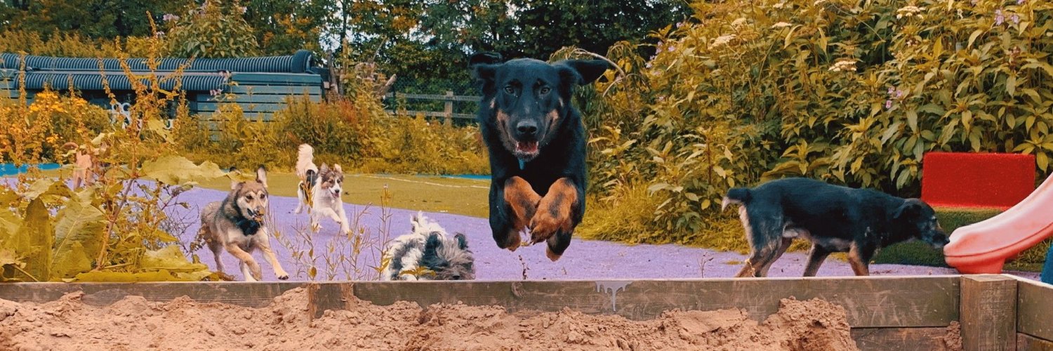 Dogs 4 Rescue's banner